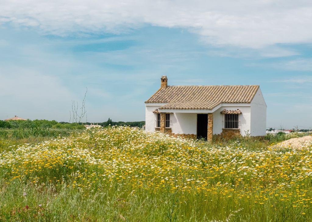 Picturesque white house surrounded by wildflowers in rural Poblado de Sancti Petri, Spain.